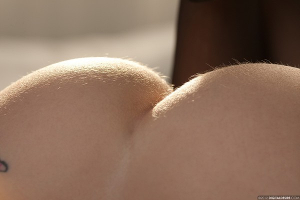 Dakota Rae removes her top in a dim sunlit room for Digital Desire - Pic #03