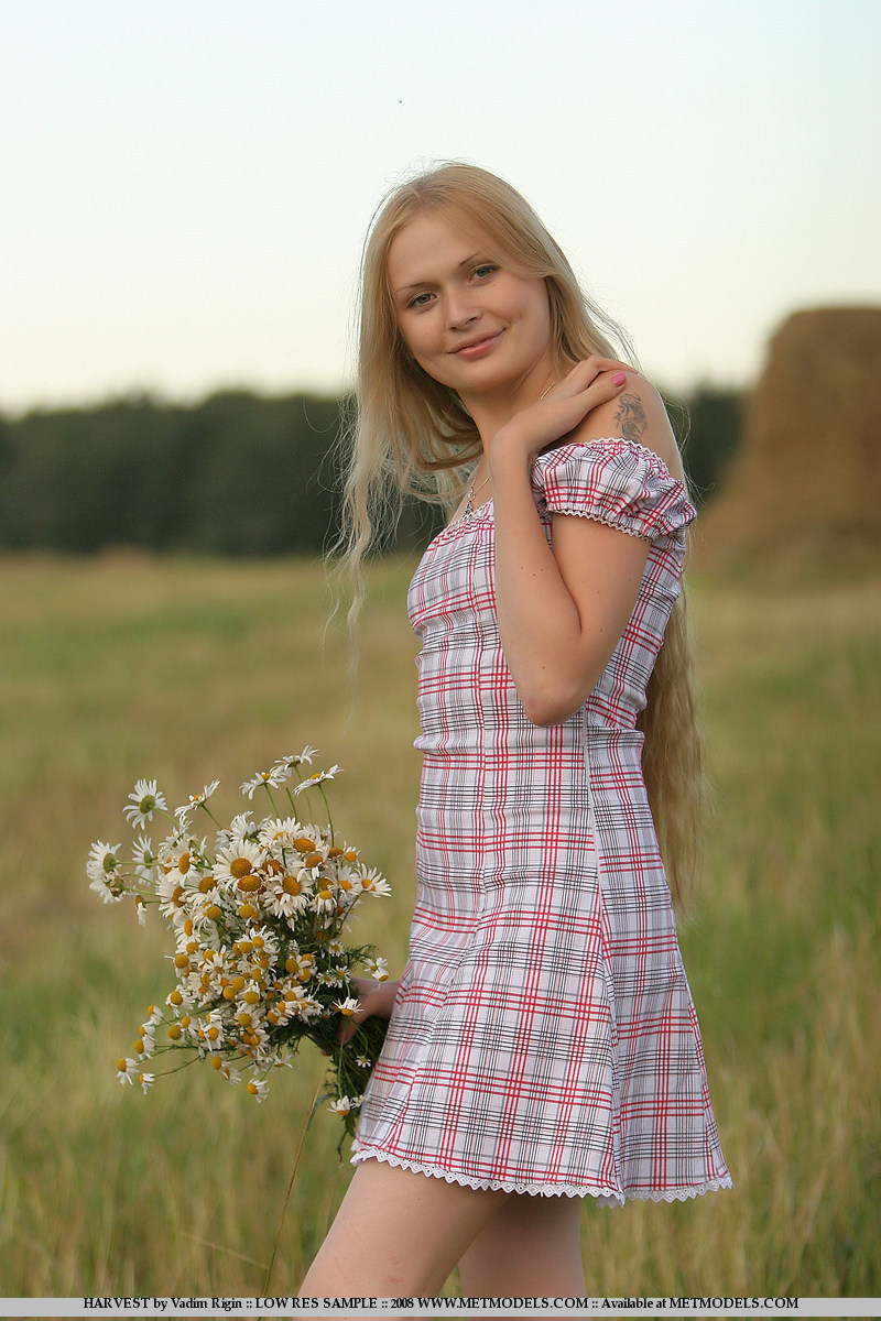 Resting during harvest - Pic #8