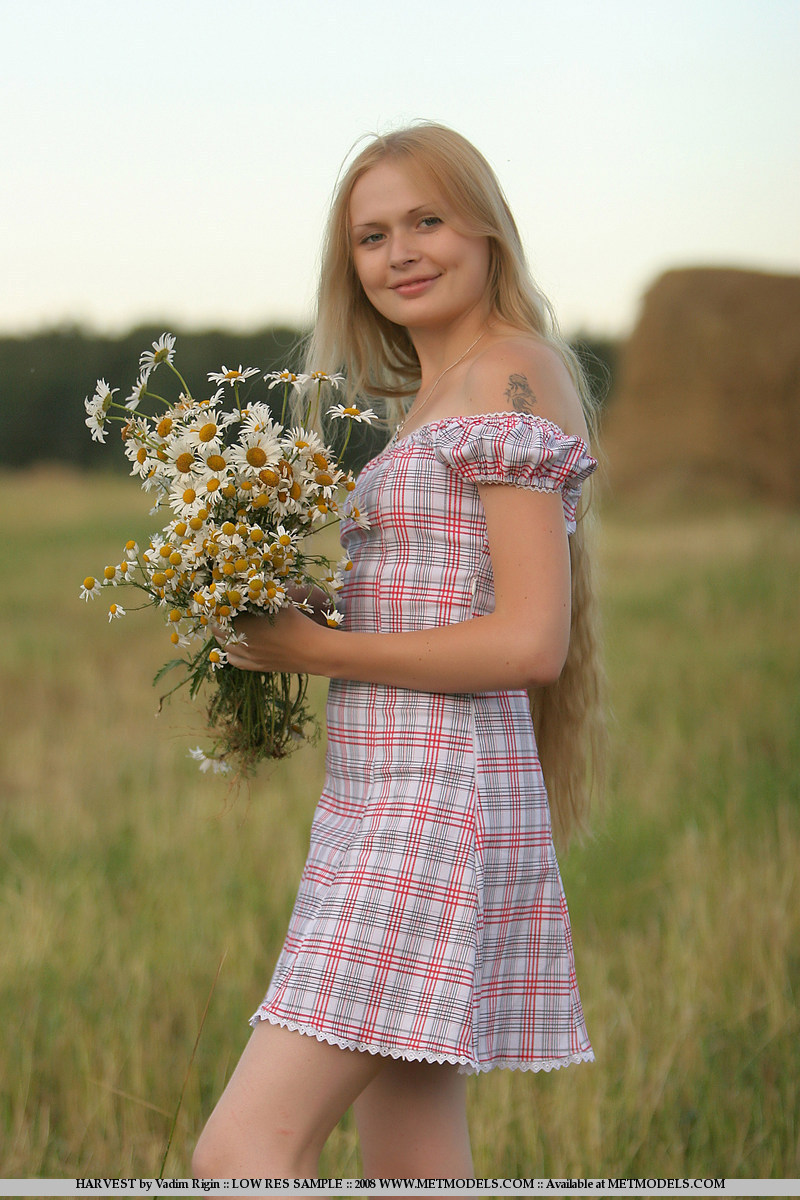 Resting during harvest - Pic #1