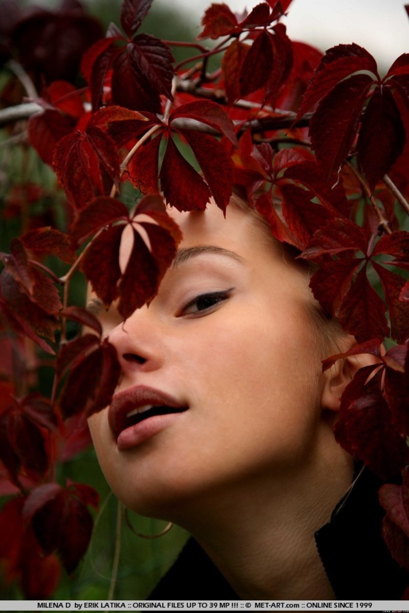 Teeny girl dropping panties - Pic #5