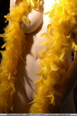 Elegant Blonde And Naked - Pic #00