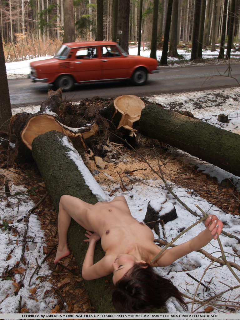 Country Side Exhibitionist - Pic #16