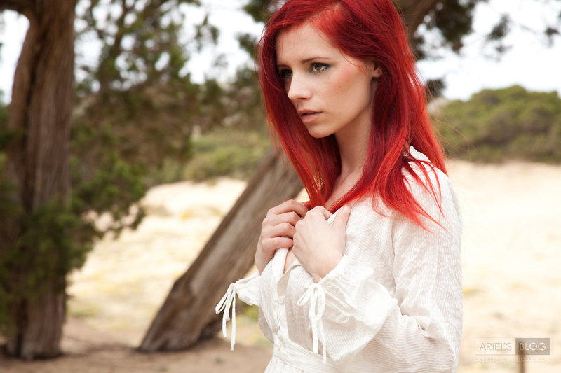 Ariel - No entry - Pic #10